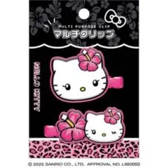 平成レトロ★ギャル　日焼け　ガングロ　キティ　Hello kitty メモ帳 平成レトロ ギャル 日焼け ガングロ キティ Hello kitty メモ帳