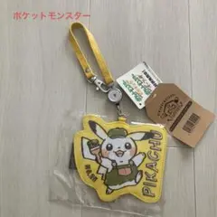 限定品suica　ピカチュウデザイン（使用不可） 使用不可】 ピカチュウ suica JR東日本 ポケモン 限定 スイカ