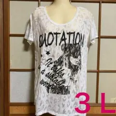 美品☆大きいサイズ３Ｌ☆涼しいＴシャツ