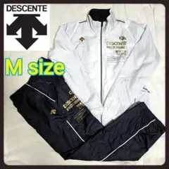 Item thumbnail for item 0154216b-aaca-4753-87b8-c9f3f213924b