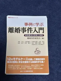 【裁断済】『事例に学ぶ離婚事件入門』（2013年）