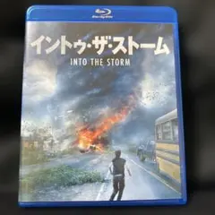 イントゥ・ザ・ストーム('14米)