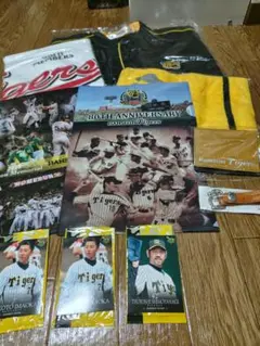 Item thumbnail for item 41e84202-1bb8-4f90-963b-fa0585600f73