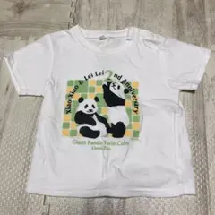 【匿名配送】上野動物園 パンダ シャオシャオ レイレイ Tシャツ 90 レア