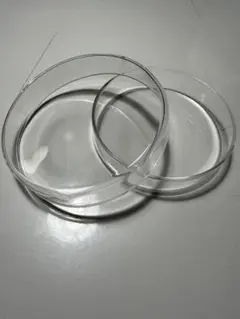 Item thumbnail for item 08b7f001-db1c-4332-a9ae-45498adfaa9b