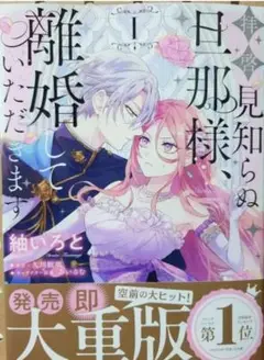 拝啓見知らぬ旦那様、離婚していただきます／1巻～3巻セット