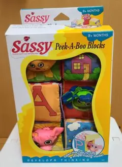 Sassy Peek-A-Boo Blocks 　知育おもちゃ　未使用