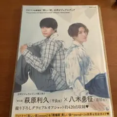 TVドラマ&劇場版「美しい彼」公式ビジュアルブック