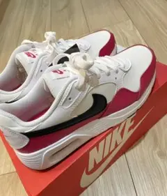 ナイキ エアマックス SC CW4554-106