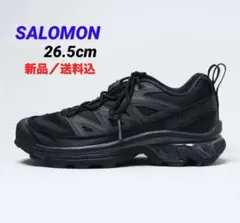 SALOMON XT-6 EXPANSE 【新品／送料込】