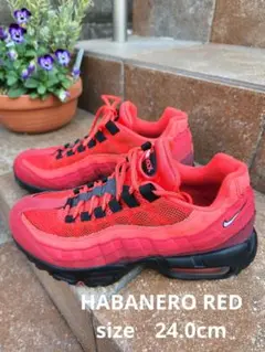 NIKE エアマックス95 ハバネロレッド