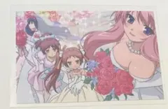 バカテス展 バカとテストと召喚獣 ビジュアルミニカード