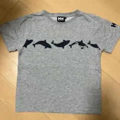 ヘリーハンセン Tシャツ120