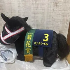 馬 コントレイル 競馬 菊花賞