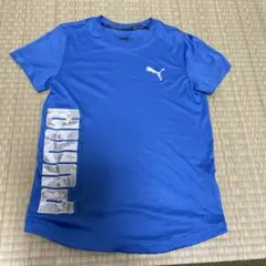 PUMA 青 Tシャツ 150サイズ