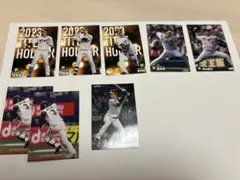 カルビー　プロ野球チップス　阪神タイガース