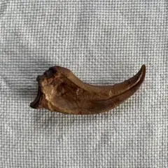 Item thumbnail for item 1c27d134-cddd-420f-8670-98ea077cc10f