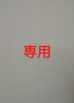 専用