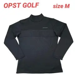 Item thumbnail for item 1ad965e9-c746-4b09-bedb-162d77cd645a