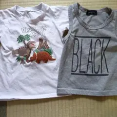 恐竜刺繍Tシャツとグレータンクトップセット110