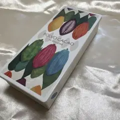 POLVO CACAO クッキー缶