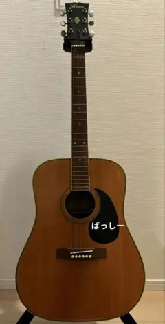 堀田　アコースティックギター　G-80 堀田 アコースティックギター G-80 - メルカリ