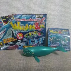 アンドコ&co まとめ売り 大人気の知育玩具シリーズにミニサイズの”深海魚”が登場『シー