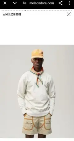 AIME LEON DORE バンダナ エメレオンドレ スカーフ supreme AIME LEON DORE バンダナ エメレオンドレ スカーフ supreme