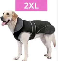 Item thumbnail for item 85de5333-e3b0-4c1e-af88-c92c55876a9d