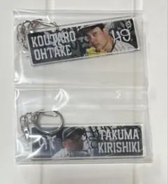 阪神タイガース　シークレットビジョンキーホルダー