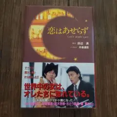 恋はあせらず CAN'T HURRY LOVE ノベライズ