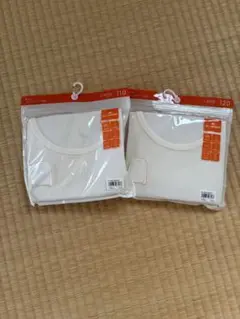 Item thumbnail for item bba3957e-7e3e-4ec1-a45d-2ed0399796bf