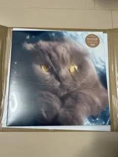 猫戦 「蜜・月・紀・行」 LP アナログレコード 新品未使用