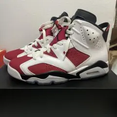 AIRJORDAN6 カーマイン2021 27cm