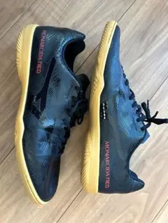 ミズノ フットサルシューズ モナルシーダ NEO SALA CLUB IN