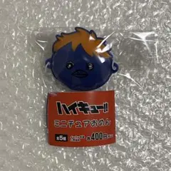 ハイキュー ミニチュアおめん 日向