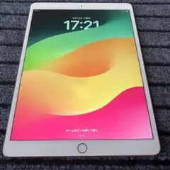 60 【早い者勝ち】 iPad Pro 10.5 64GB ローズゴールド