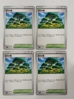 活力の森　ポケモンカード