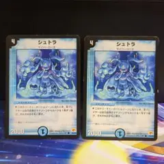 シュトラ 2枚セット