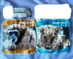 Item thumbnail for item b2459268-e938-488e-a57e-d27422dfeb94