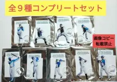 ファイターズ セコマ アクリルスタンド 北海道限定 フルコンプセット さちとら等