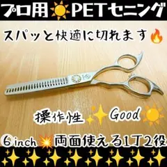 Item thumbnail for item 0cae4665-4ef0-4127-8583-09c12514177a