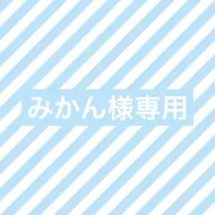 専用ページ