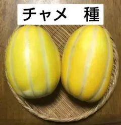 89.韓国チャメメロン韓国メロン　韓国香瓜箱込み5kg玉数お任せ Amazon.co.jp: 夏限定 再入荷 『韓国産入荷』サクサクメロン