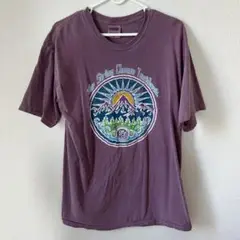 コンフォートカラーズ グラフィック Ｔシャツ 紫 Mサイズ