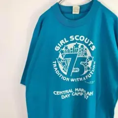 USA製 80s velva sheen Tシャツ シングルステッチ