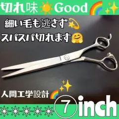Item thumbnail for item a9f1bc5b-2205-4f64-b4e5-2519681fded0