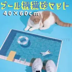 Item thumbnail for item 57eff70c-6f4b-41e9-8cae-6b161e1e1b3e
