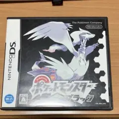 ポケットモンスター ブラック (Nintendo DS)