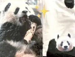 パンダ自身 完売 クッション ブランケット 上野動物園 シャンシャン